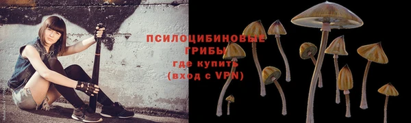 мескалин Абинск