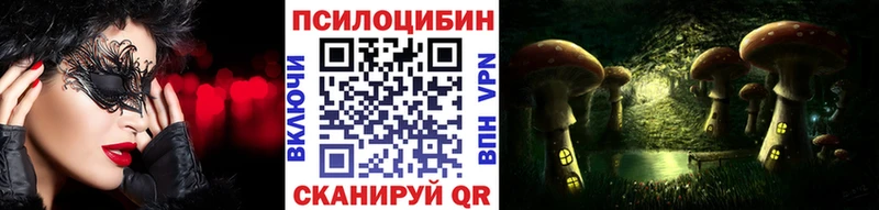 Псилоцибиновые грибы GOLDEN TEACHER  даркнет сайт  Шали 
